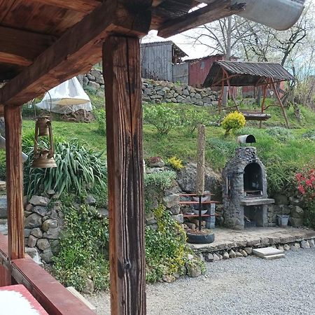 Meselak Villa Ocna de Sus Екстериор снимка