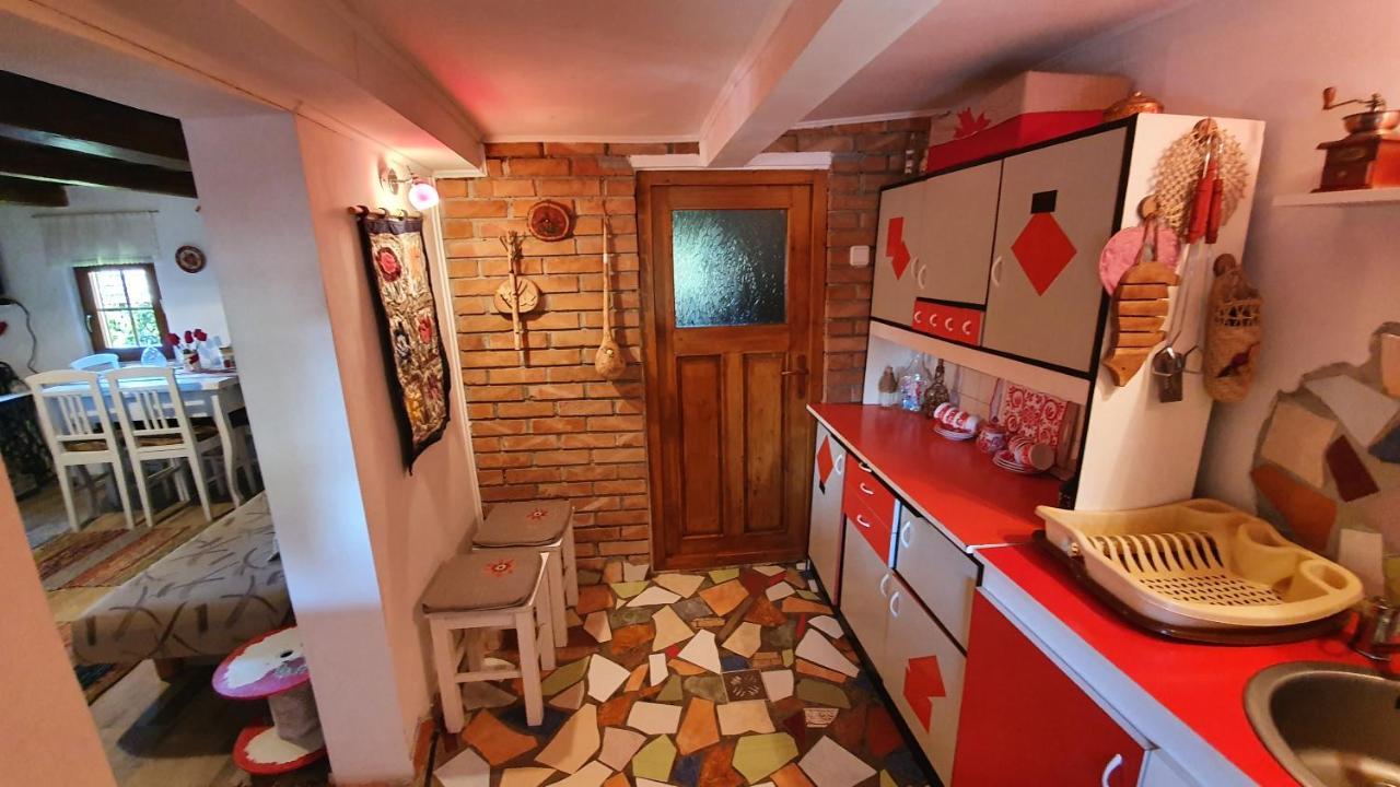 Meselak Villa Ocna de Sus Екстериор снимка