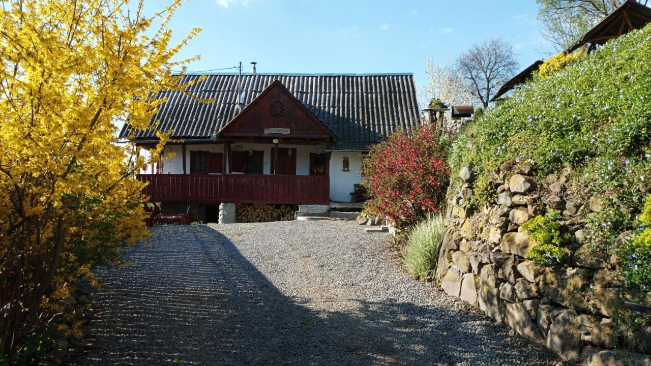 Meselak Villa Ocna de Sus Екстериор снимка